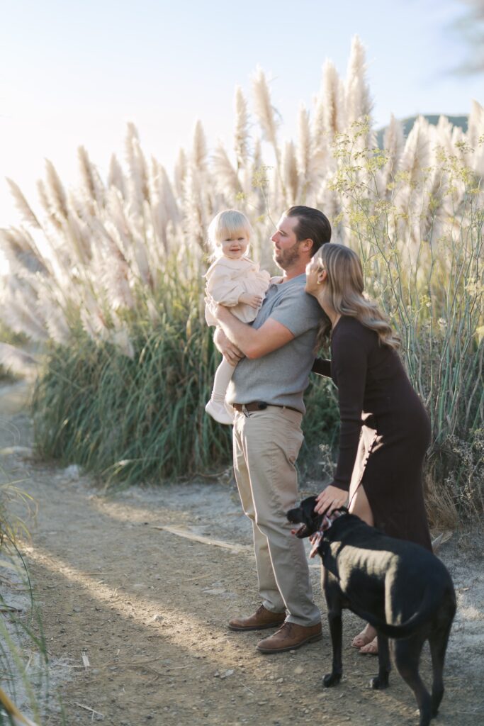 fall family photos in bay area