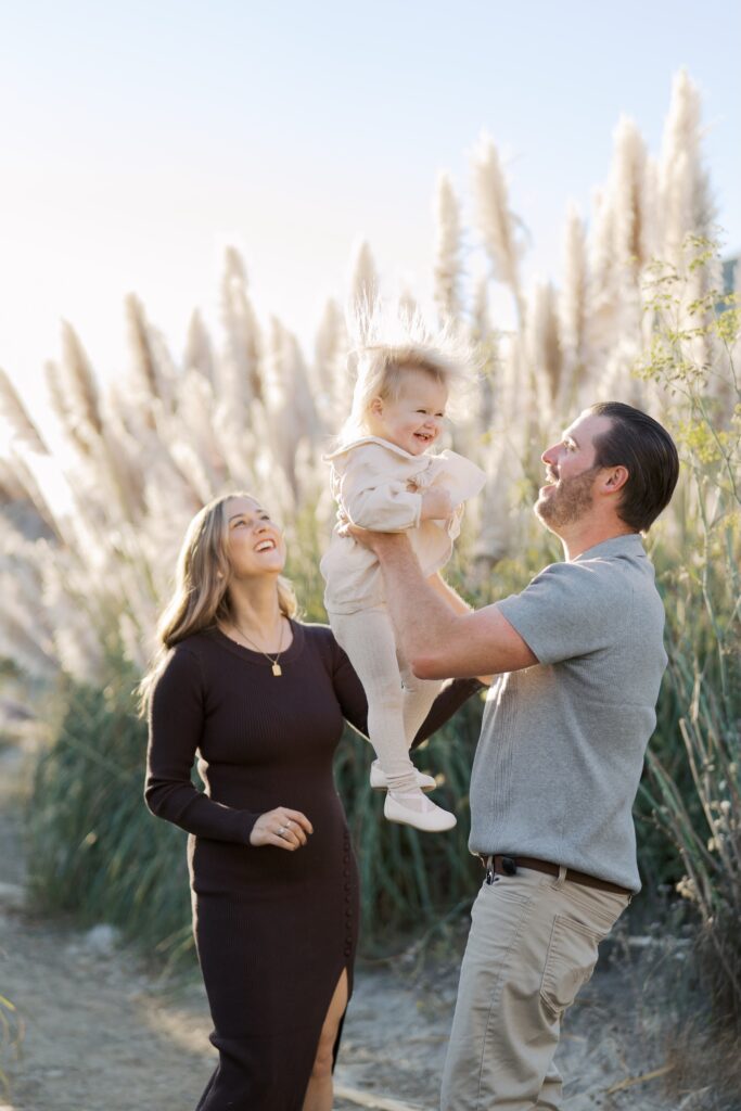 pampas grass family session
