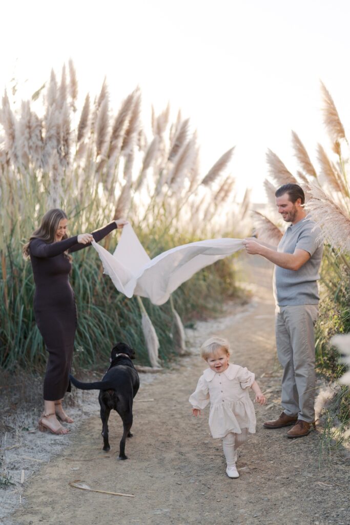 playful family photography bay area